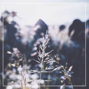 中文字幕人妻无码专区
